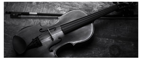 Obraz - Viola (120x50 cm)