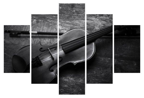Obraz - Viola (150x105 cm)