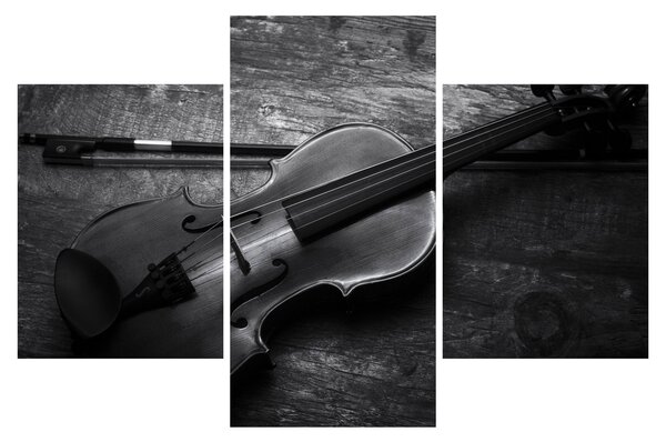 Obraz - Viola (90x60 cm)
