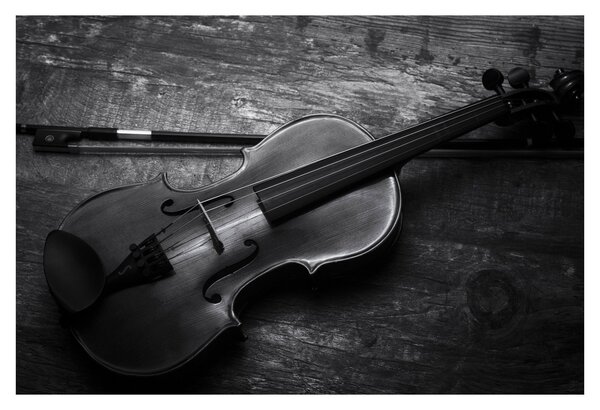 Obraz - Viola (90x60 cm)