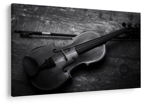 Obraz - Viola (90x60 cm)