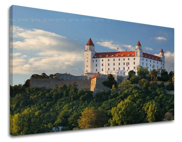 Obraz na stenu SLOVENSKO SK003E11