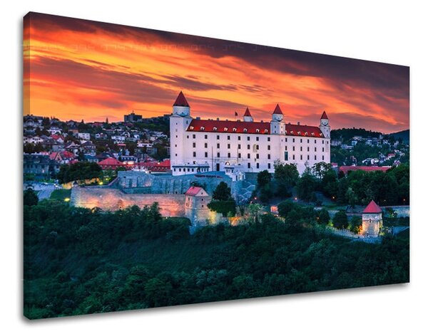 Obraz na stenu SLOVENSKO SK009E11