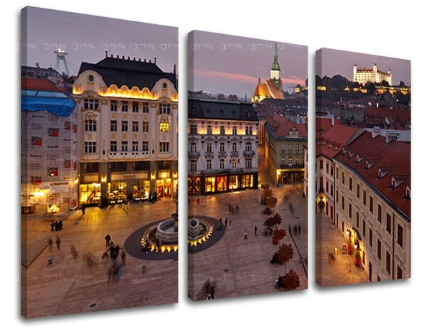 Obraz na stenu 3 dielny SLOVENSKO SK022E30