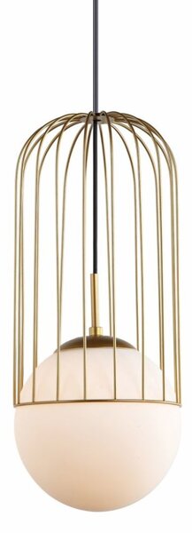 MDM-3940/1 GD ITALUX Matty 25,5 cm moderné závesné svietidlo 1X40W E27 IP20