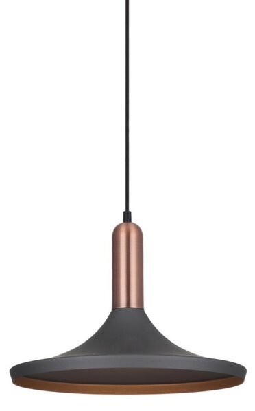 MDM-3027/1 GR+RC ITALUX Lusty moderné závesné svietidlo 1X60W E27 IP20