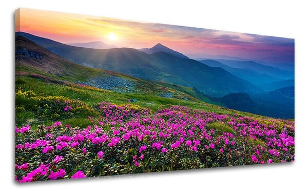 Obraz na stenu PANORÁMA SLOVENSKO - 30x60 cm