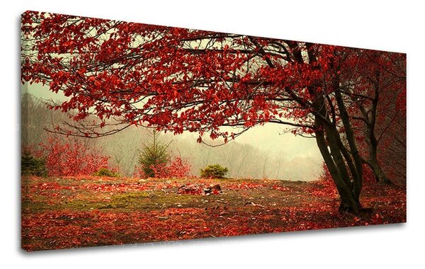 Obraz na stenu PANORÁMA STROMY ST017E13
