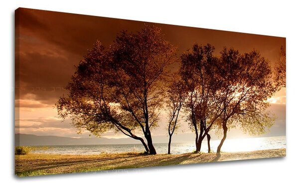 Obraz na stenu PANORÁMA STROMY - 30x60 cm