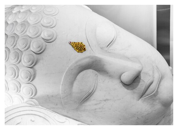 Obraz - Biely Budha (70x50 cm)