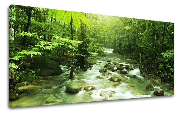 Obraz na stenu PANORÁMA STROMY ST034E13