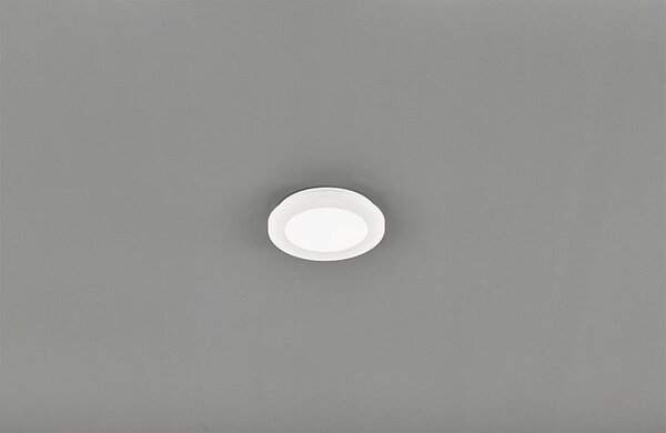 TRIO Reality R62921001 Camillus stropné svietidlo LED 1x10W 850lm 3000K IP44
