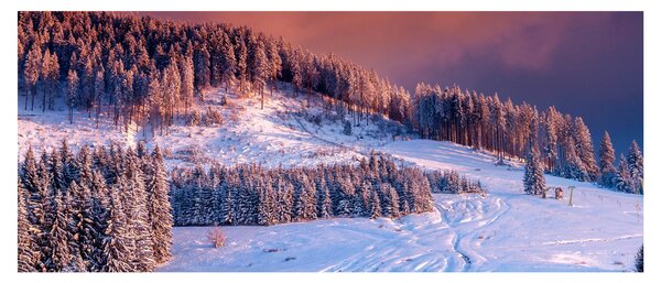 Obraz zimnej krajiny (120x50 cm)