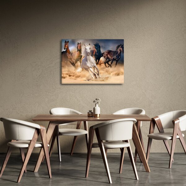 Obraz - Kone v púšti (70x50 cm)