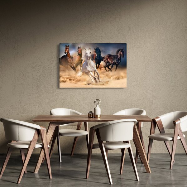 Obraz - Kone v púšti (90x60 cm)