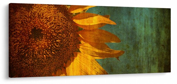 Obraz - Slnečnica (120x50 cm)