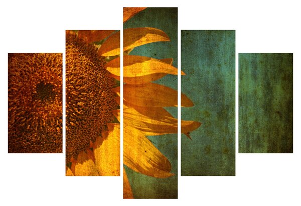 Obraz - Slnečnica (150x105 cm)