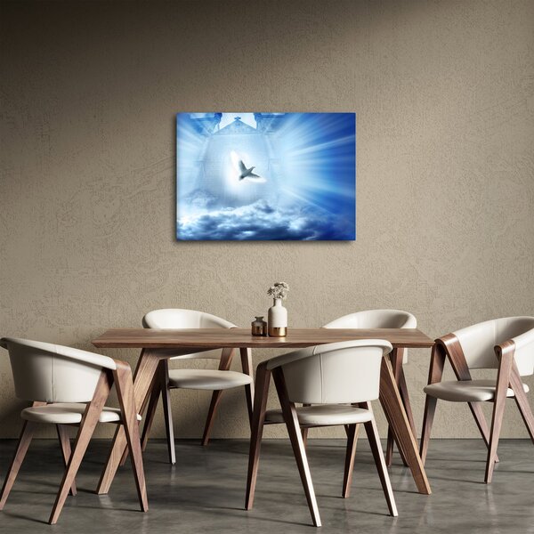 Obraz - Božia holubica (70x50 cm)