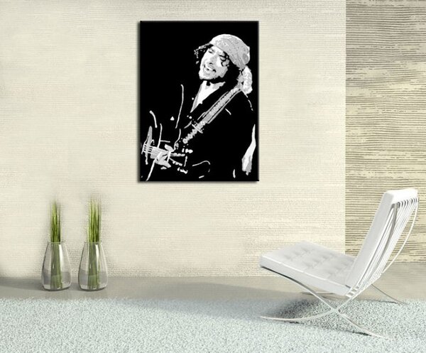 Ručne maľovaný POP Art obraz Bob Dylan bd