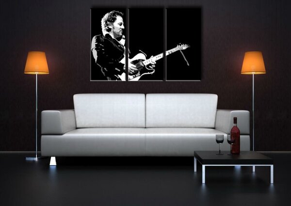 Ručne maľovaný POP Art obraz Bruce Springsteen 3 dielny bs