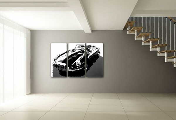 Ručne maľovaný POP Art obraz JAGUAR 3 dielny jag