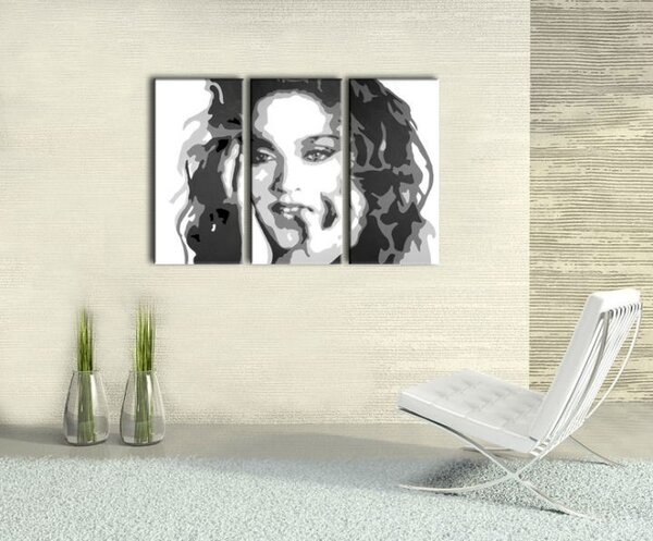 Ručne maľovaný POP Art obraz MADONNA - 60x40 cm