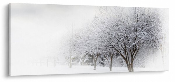 Obraz - Zimná alej (120x50 cm)