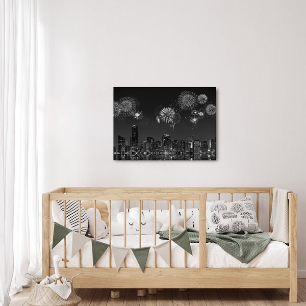 Obraz - Ohňostroj v Miami, čiernobiela (70x50 cm)