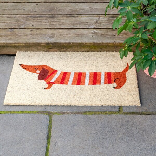 Rohožka z kokosového vlákna 43x73 cm Sausage Dog – Rex London