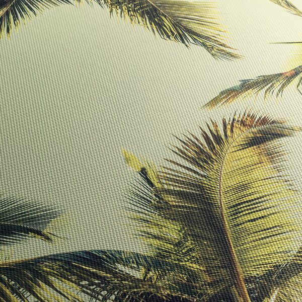 Obraz s kokosovými palmami (120x50 cm)
