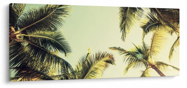 Obraz s kokosovými palmami (120x50 cm)