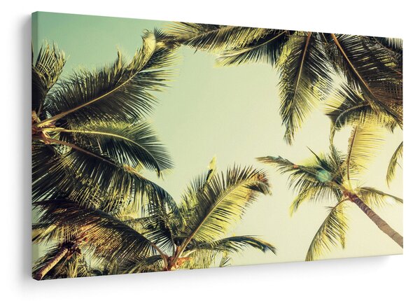 Obraz s kokosovými palmami (90x60 cm)