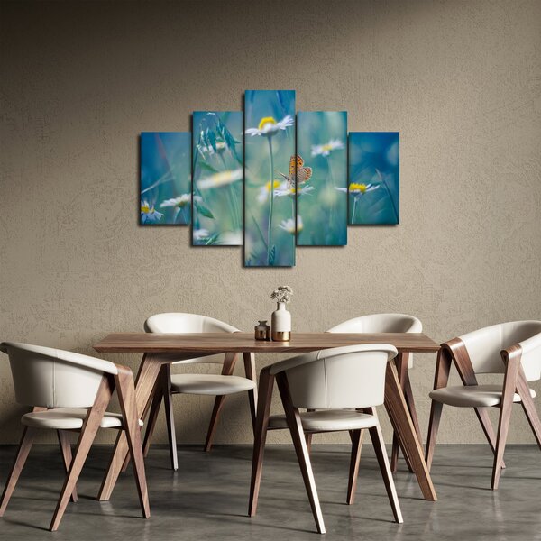 Obraz - Motýľ na sedmokráske (150x105 cm)