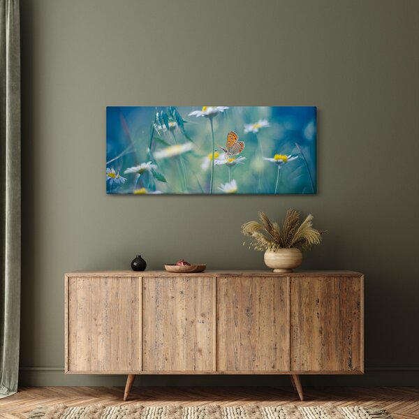 Obraz - Motýľ na sedmokráske (120x50 cm)