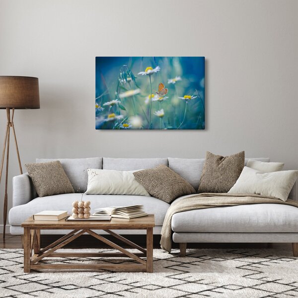 Obraz - Motýľ na sedmokráske (90x60 cm)