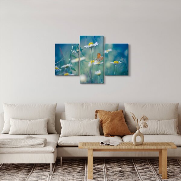 Obraz - Motýľ na sedmokráske (90x60 cm)