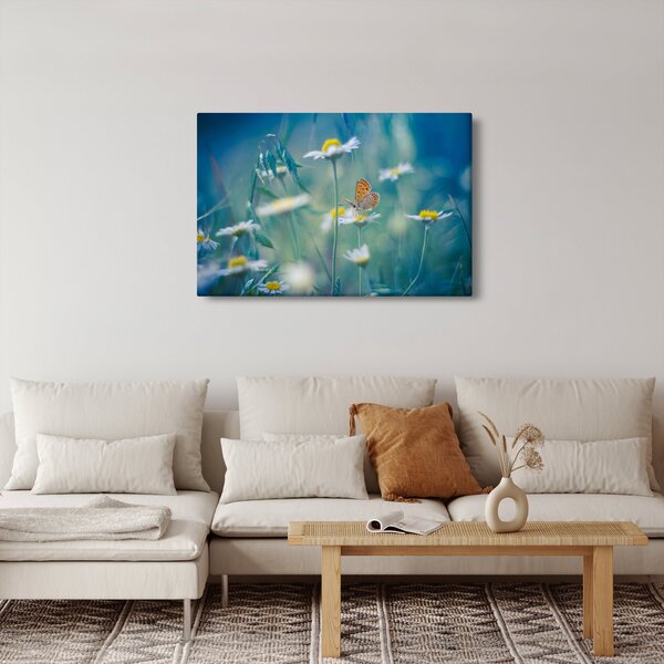 Obraz - Motýľ na sedmokráske (90x60 cm)