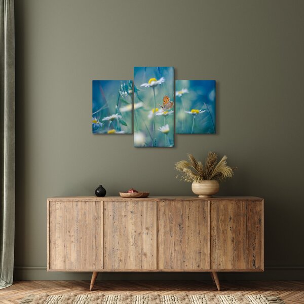 Obraz - Motýľ na sedmokráske (90x60 cm)