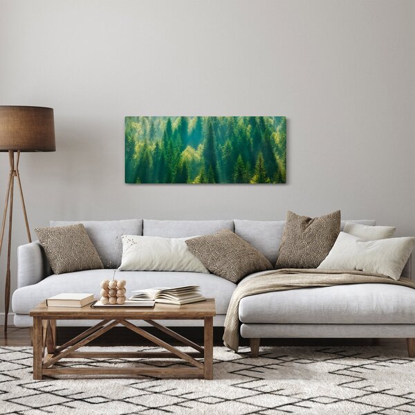 Obraz - Borovicový les (120x50 cm)