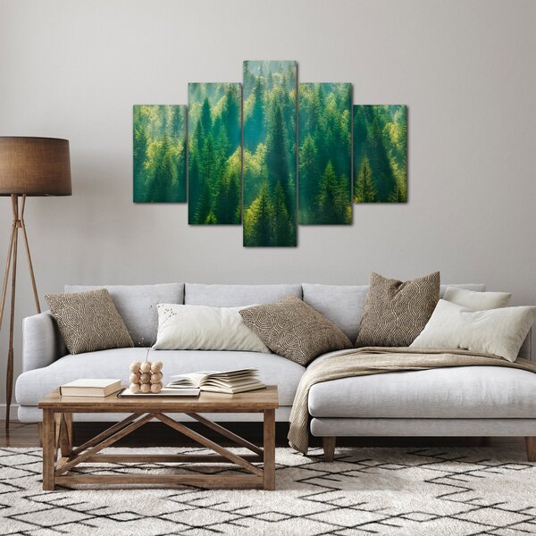 Obraz - Borovicový les (150x105 cm)