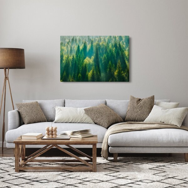 Obraz - Borovicový les (90x60 cm)