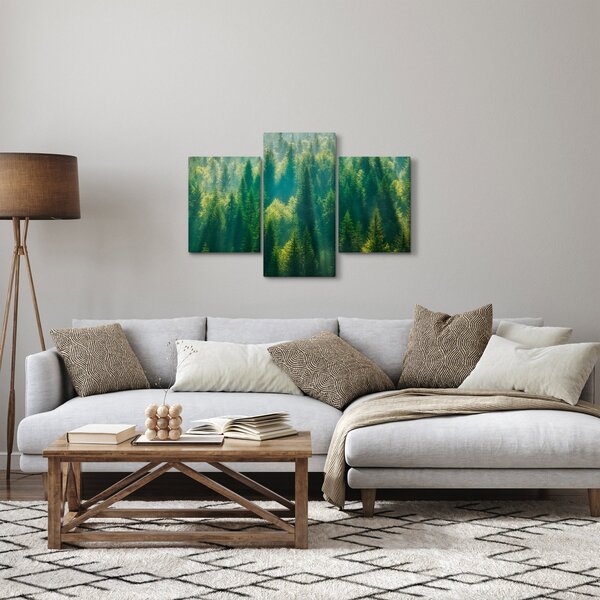 Obraz - Borovicový les (90x60 cm)