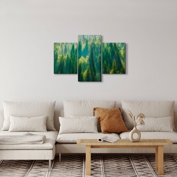 Obraz - Borovicový les (90x60 cm)