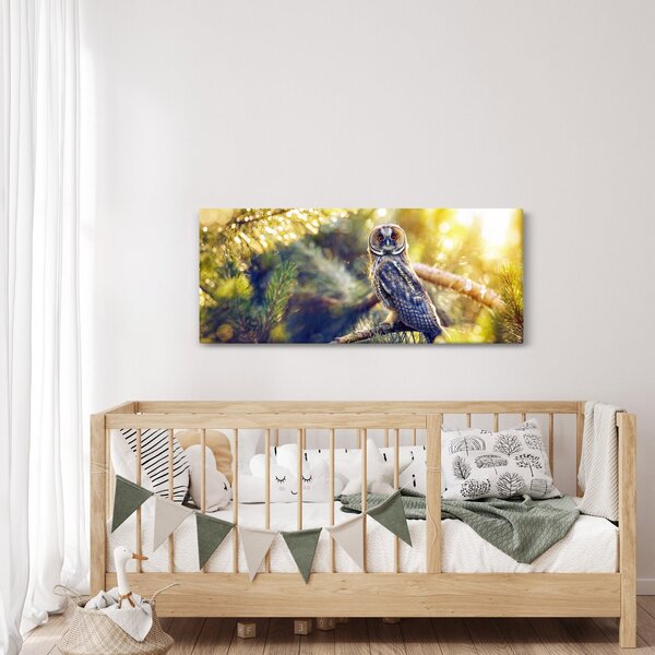 Obraz sovy na strome (120x50 cm)