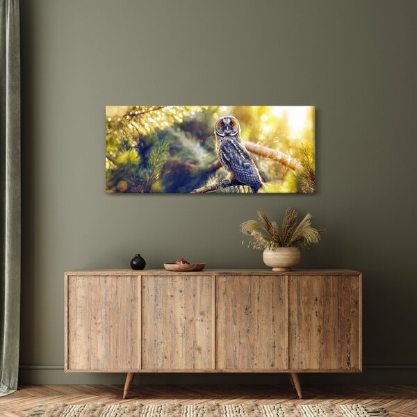Obraz sovy na strome (120x50 cm)