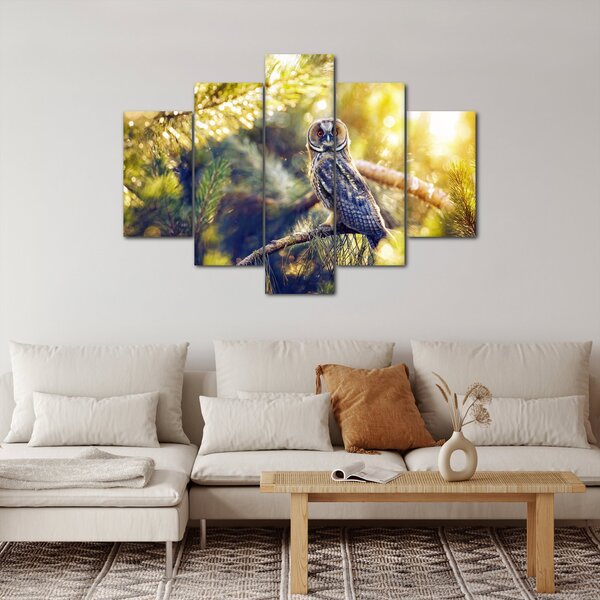 Obraz sovy na strome (150x105 cm)