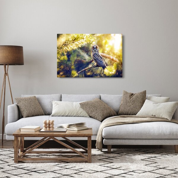 Obraz sovy na strome (90x60 cm)