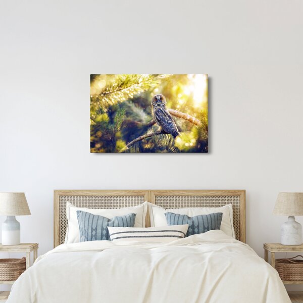 Obraz sovy na strome (90x60 cm)