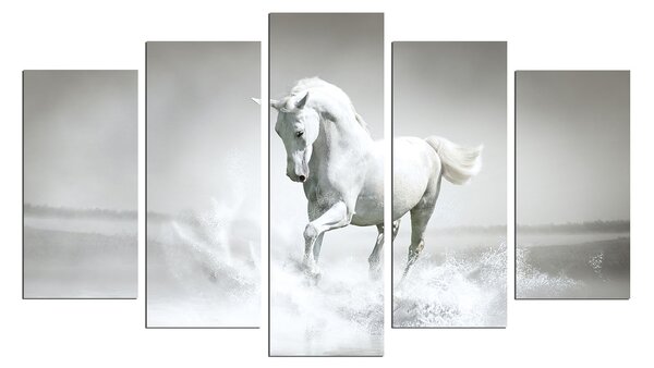 ASIR Súbor obrazov BIELY KÔŇ 110 cm MDF