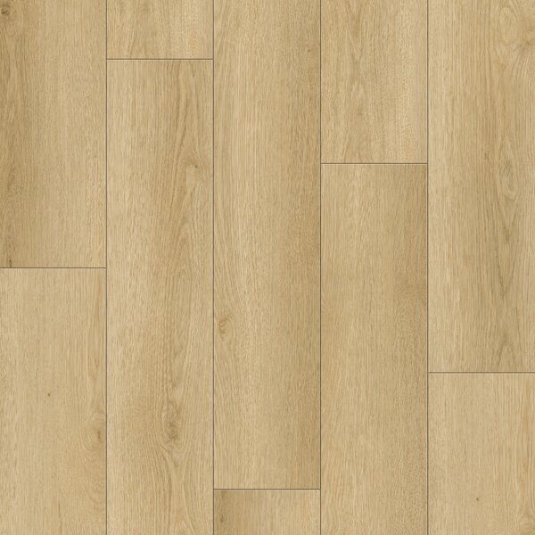 SolidStep ADVANCE Pro Dub Bellano ST1203